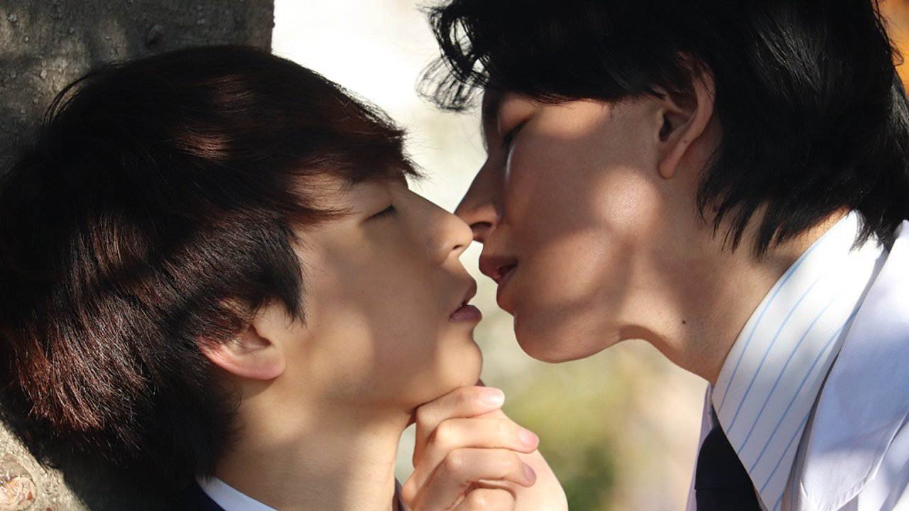 Cầu hôn lo lắng - Ảnh 2