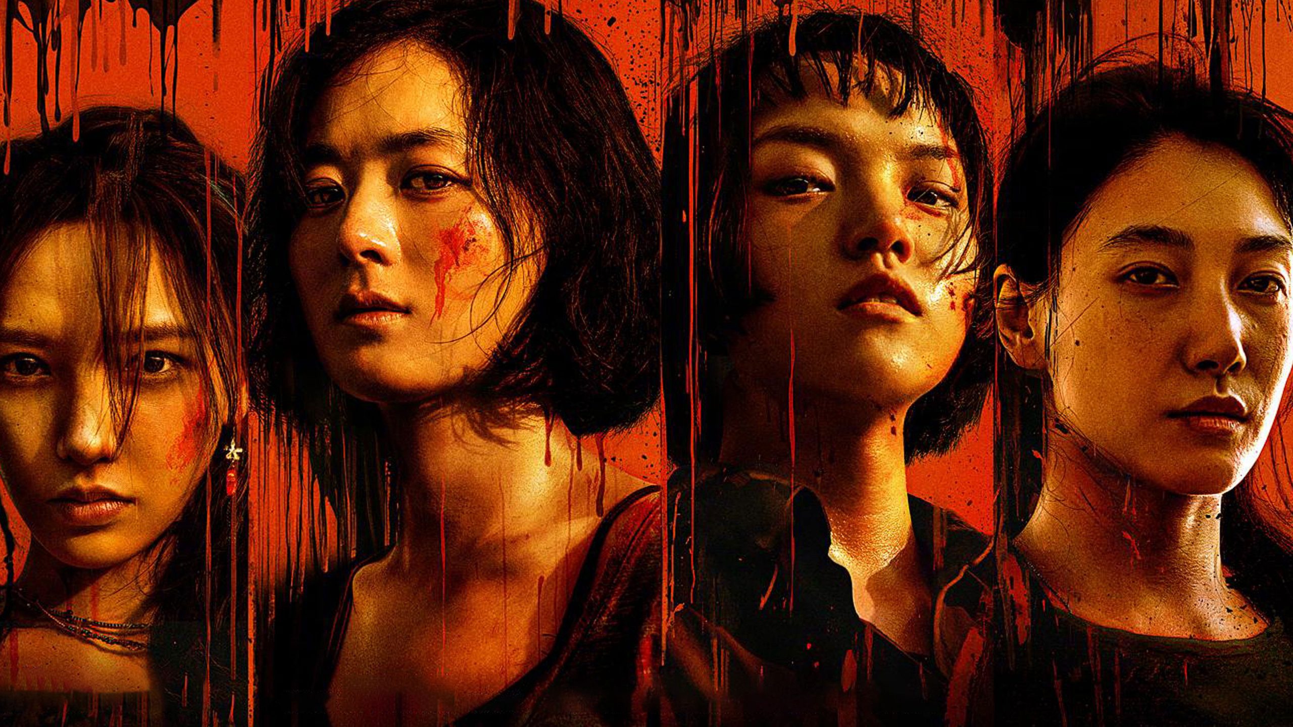 Hoa Hướng Dương - Ảnh 2