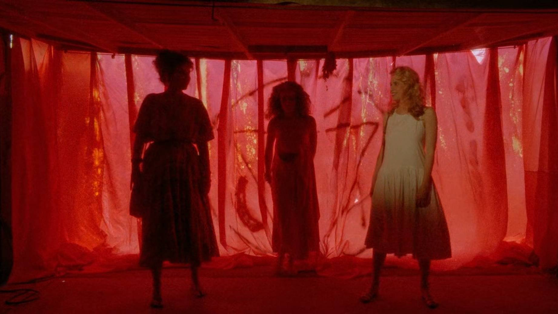 Necromancer - Ảnh 2