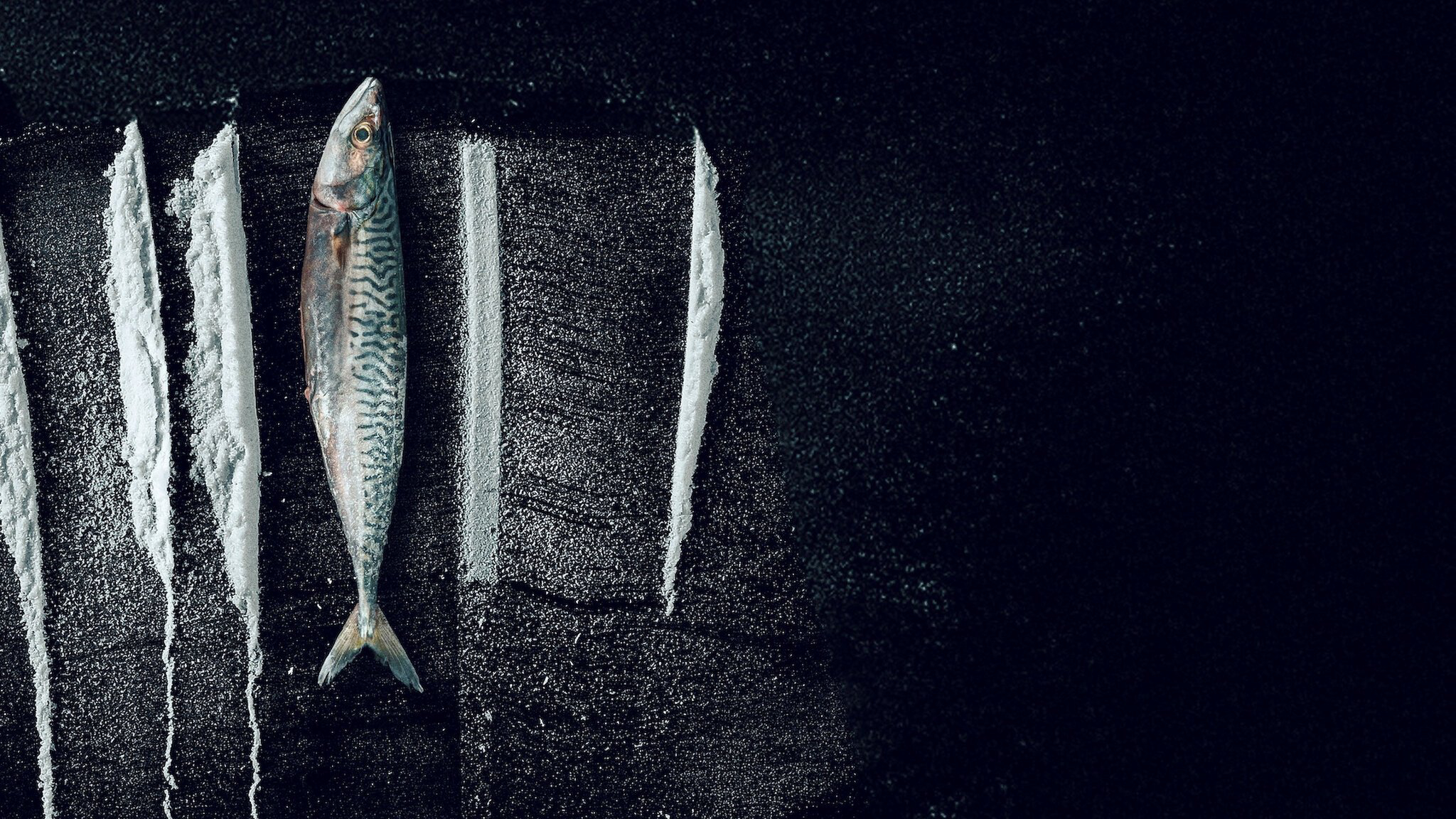 Sống Triều Đổi Vận: Câu Chuyện Siêu Thực Tế Rabo de Peixe - Ảnh 2