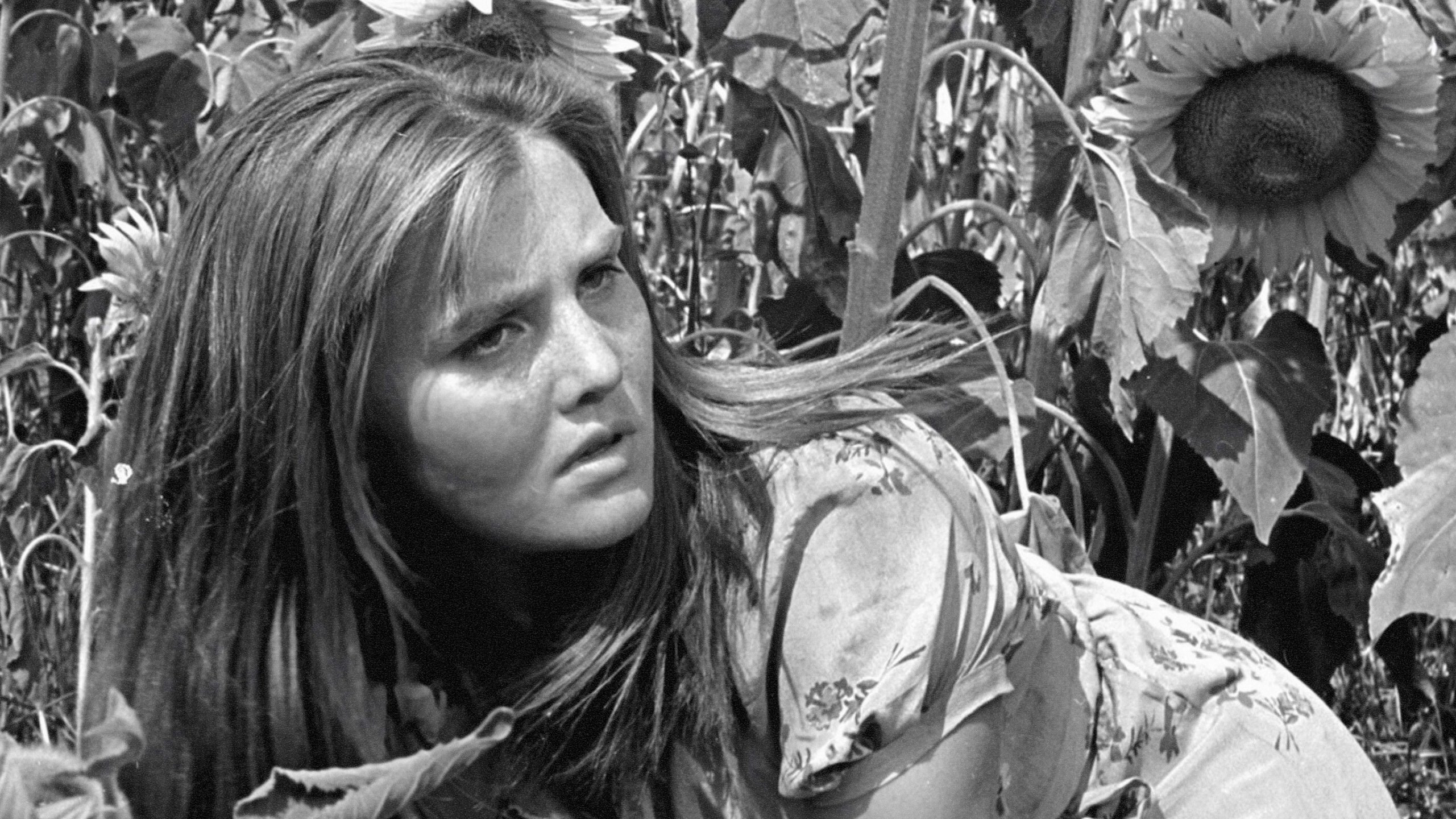 Tấn công và rút lui - Ảnh 2