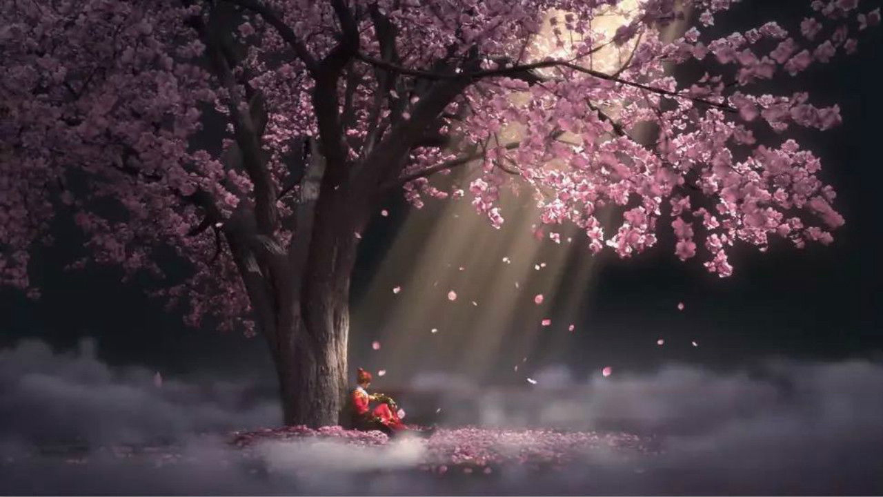 Thiếu Niên Cẩm Y Vệ (Phần 2) - Ảnh 2