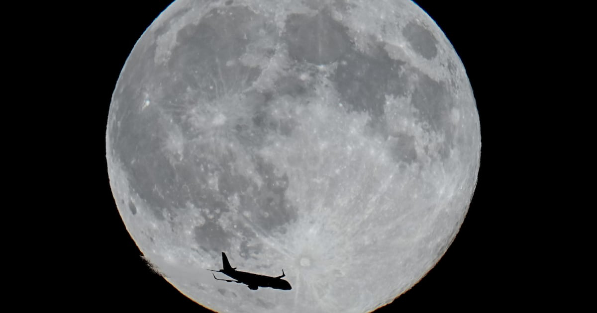 Tiệc Quái thú dưới ánh trăng - Ảnh 2