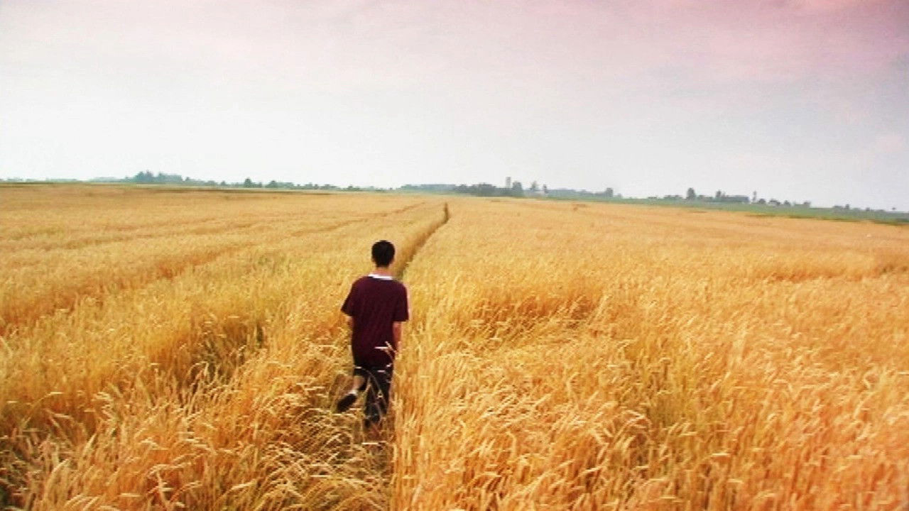 Tôi chỉ yêu người lạ - Ảnh 2