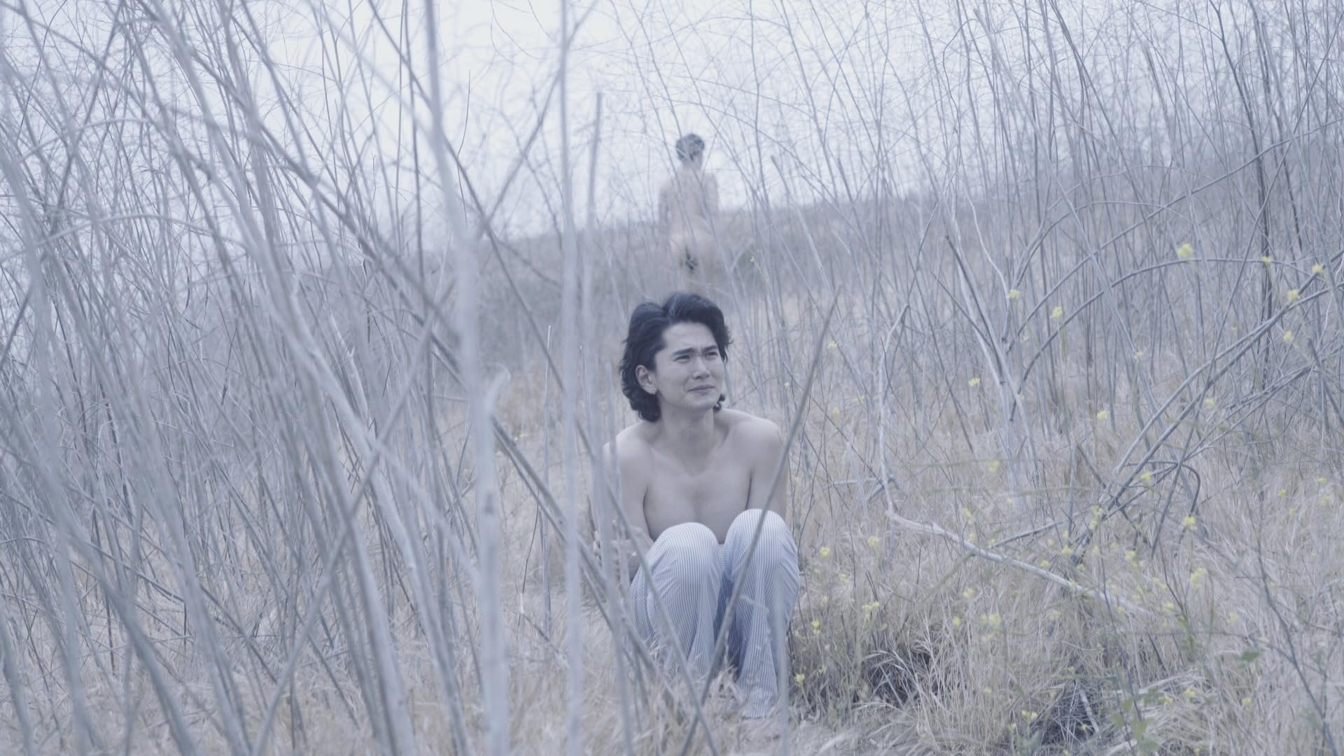 không lời - Ảnh 2